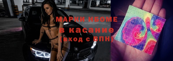 ГАЛЛЮЦИНОГЕННЫЕ ГРИБЫ Лагань