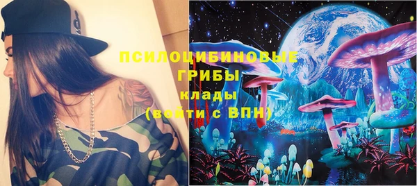 крисы Куйбышев