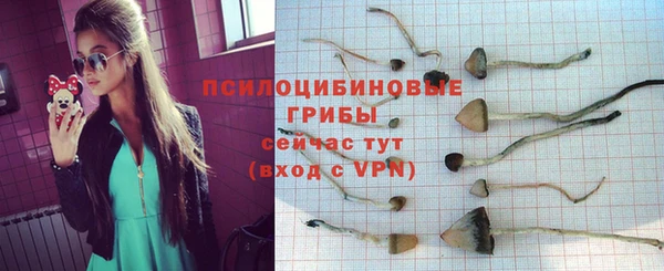 PSILOCYBIN Липки