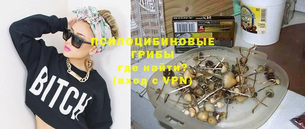 гашик Краснотурьинск