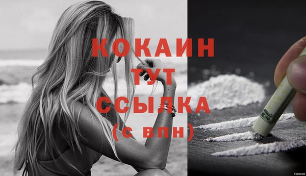 PSILOCYBIN Липки