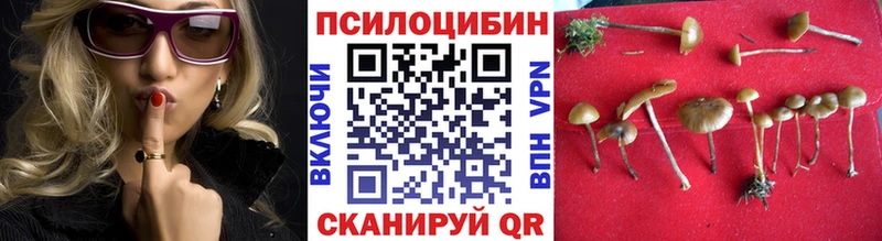 Галлюциногенные грибы ЛСД  даркнет телеграм  Лесозаводск 