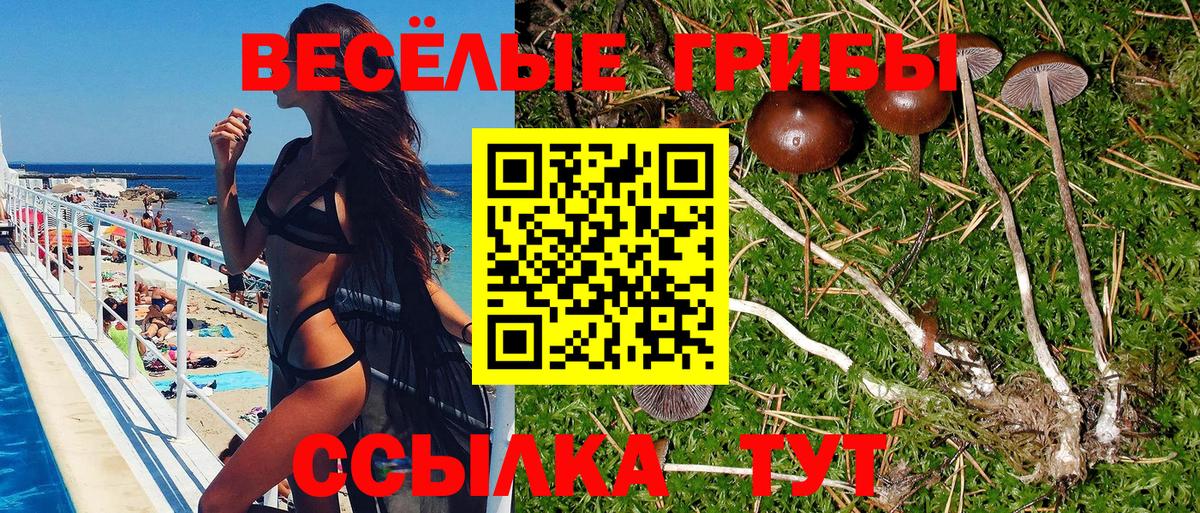 Псилоцибиновые грибы Cubensis  Вход с VPN  купить наркотики сайты  Лесозаводск 