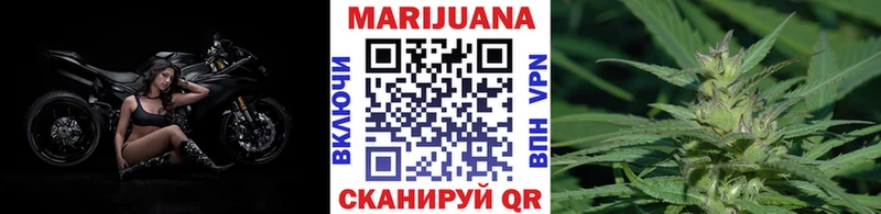 дарнет шоп  Лесозаводск  кракен зеркало  Шишки марихуана OG Kush 